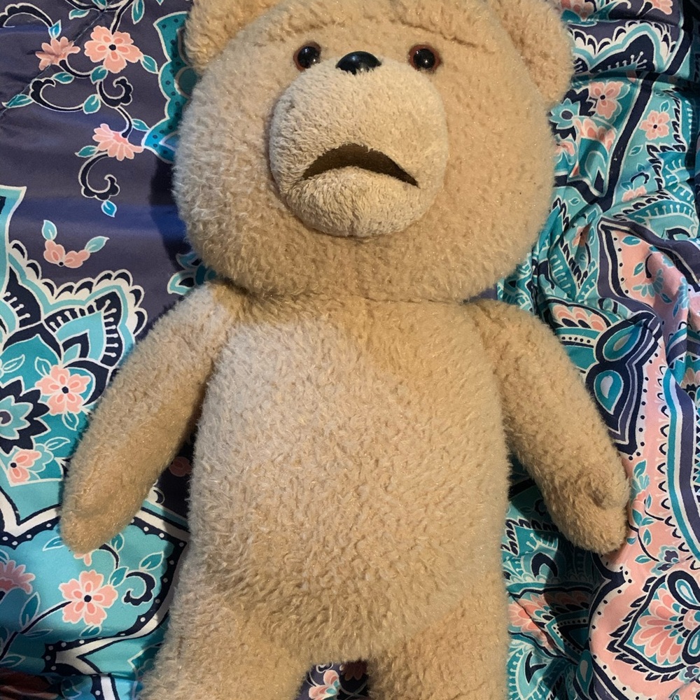 R-Rated Talking Ted Stuffed Animal